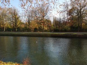 parc-de-la-citadelle-lille